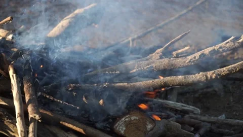 Burning fire on the river bank Stock Footage 140382568