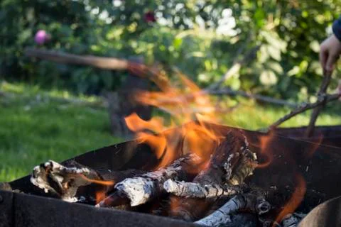 Burning fire for roasting meat , close-up Stock Photos