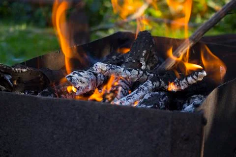 Burning fire for roasting meat , close-up Foto stock