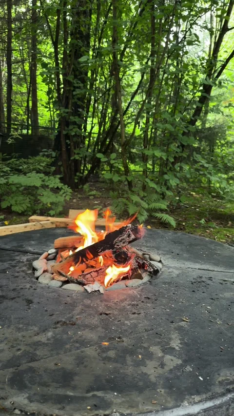 Burning Fire in Round Concrete Backyard Fire Pit Stock Footage 342165817