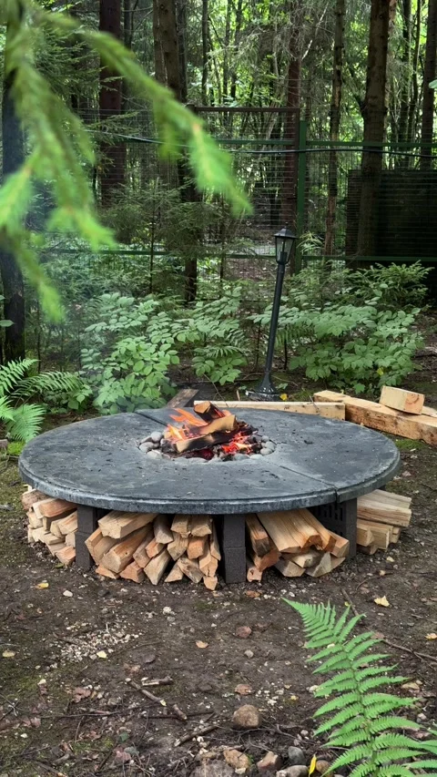 Burning Fire in Round Concrete Backyard Fire Pit Stock Footage 342166022