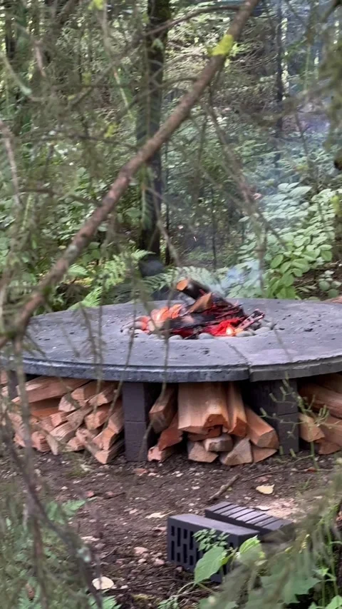 Burning Fire in Round Concrete Backyard Fire Pit Stock Footage 342166107