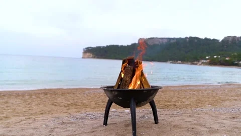 The burning fire by the sea Stock Footage 172693776