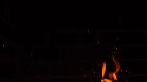 Burning fire sparks quickly raising flying from the bottom of frame upwards Vidéo 130206789
