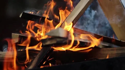 Burning fire from the trees. Close-up. Stock Footage 130741356