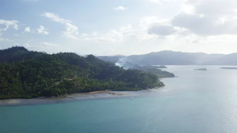 Burning fire in the tropics on the seashore Stock Footage 275523846