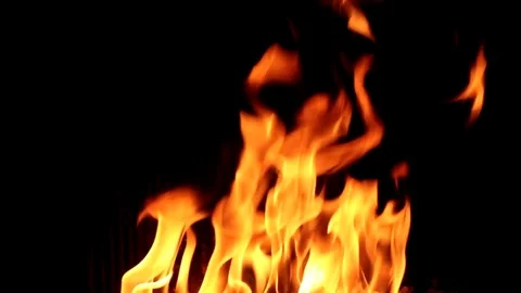 Burning fire video Stock Footage 82078106