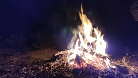 Burning fire in winter night Stock Footage 123095199