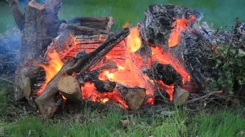 Burning fire wood flame loop Stock Footage 12374597