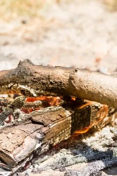 Burning fire from wood on the ground Foto stock
