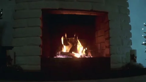 A Burning Fireplace Video Stock Footage 169862181