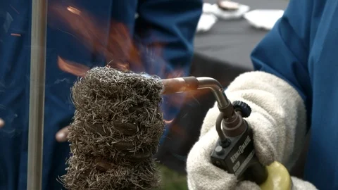 Burning a fireproof plant Video stock 93525835