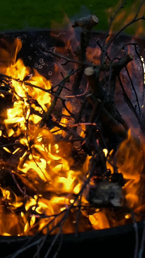 Burning firewood and twigs inside a metal fire pit at dusk Stock Footage 338329890