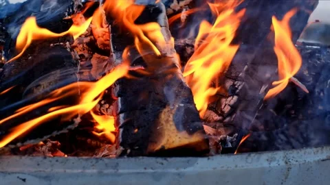 Burning firewood background.bonfire. Stock Footage 156728946