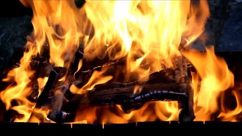 Burning firewood, closeup Stock Footage 77861368