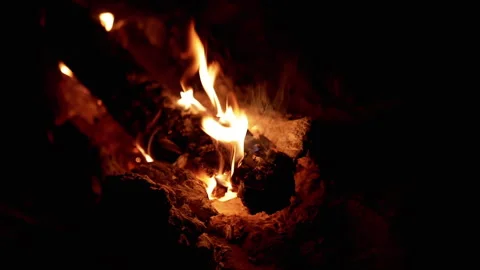 Burning Firewood in the Dark Stock Footage 293260279