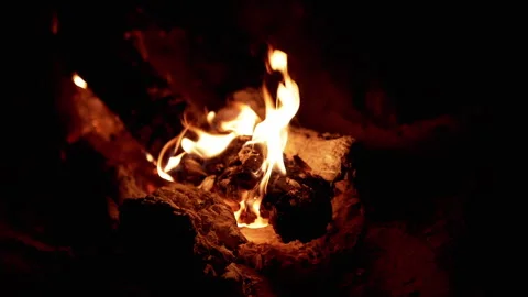 Burning Firewood in the Dark Stock Footage 293279340