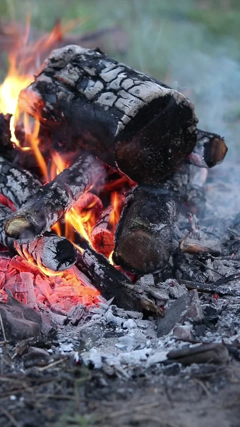 Burning firewood in an evening bonfire Video stock 337062210