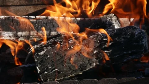 Burning firewood fire close-up. burning bonfire outdoors. birch firewood. Stock Footage 131534722