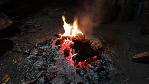 Burning Firewood Fire Flame Stock Footage 218384107