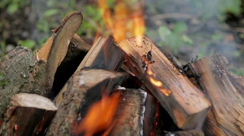Burning firewood in fire Stock Footage 50394507