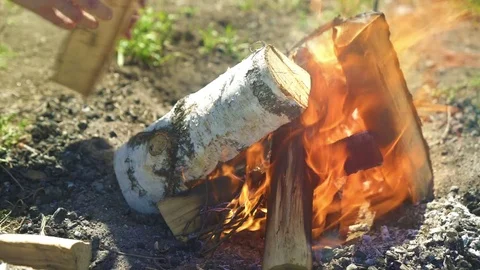 Burning firewood on fire Stock Footage 75467509