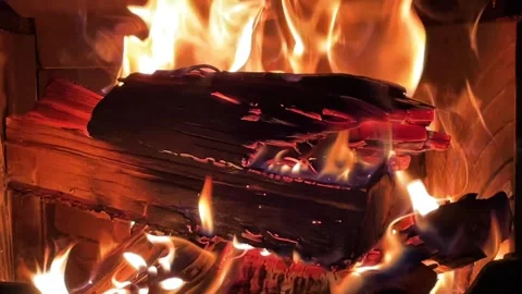 Burning Firewood in Fireplace Stock Footage 337364795