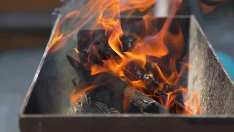 Burning Firewood with Flame in the Brazier Vídeos de archivo 108414219