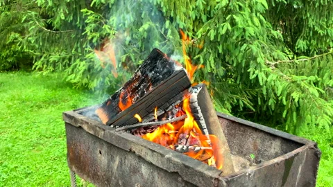 Burning firewood with flame close up Summer camping picnic time Stock-Footage 136850431