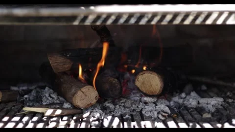 Burning Firewood Flames in Slow Motion Stock Footage 332373814