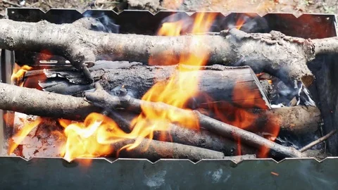 Burning firewood Stock Footage 75825568