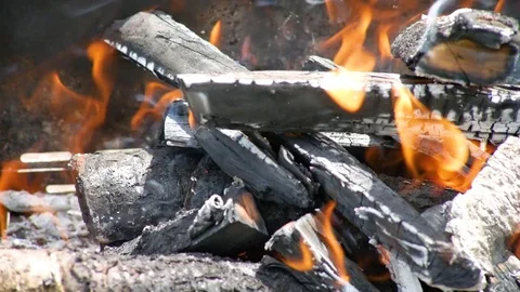 Burning firewood Stock Footage 79136534