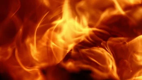 Burning Firewood Stock Footage 116662595