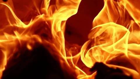 Burning Firewood Stock Footage 116663302