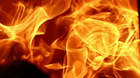 Burning Firewood Stock Footage 116664866