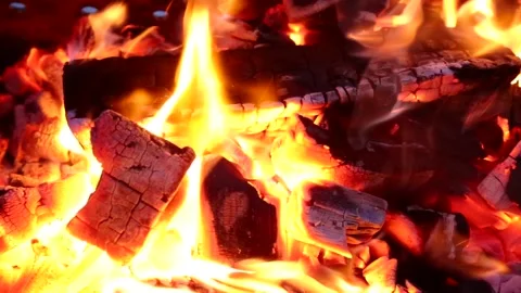 Burning firewood Stock Footage 221501225