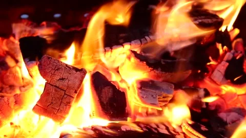 Burning firewood Stock Footage 221501228