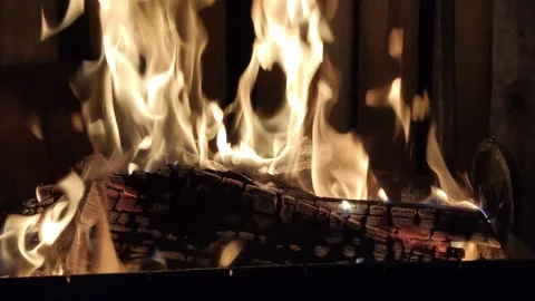 Burning firewood in a grill. Stock Footage 287608200