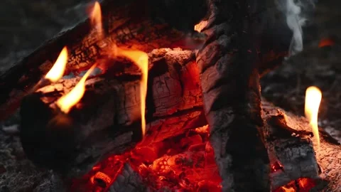 Burning firewood logs with bright flames and glowing hot embers close up Stock Footage 345121943