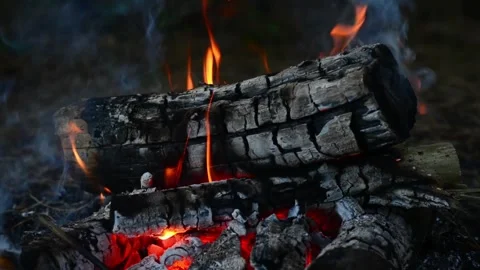 Burning firewood logs with flames and glowing embers close up Stock-Footage 345121972