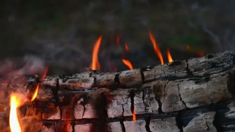 Burning firewood logs with small flames and smoke close up Vídeos de archivo 345121906