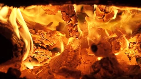 Burning firewood. Macro. Stock Footage 75163749