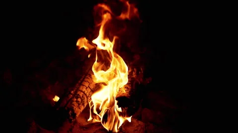 Burning Firewood in the Night Stock Footage 293266012