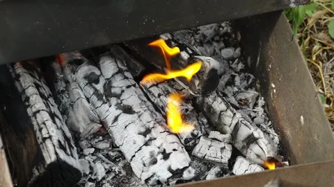 Burning firewood with small flame and gray ash in metal mangal Stock Footage 338198695