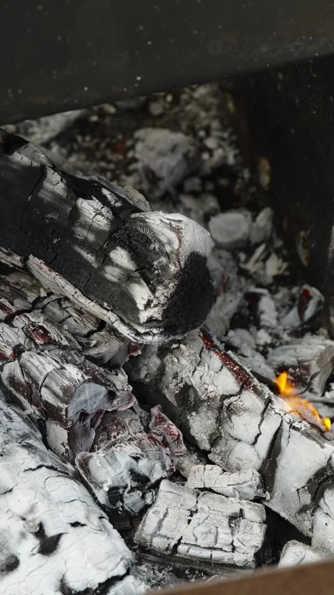 Burning firewood with small flame and gray ash in metal mangal Stock Footage 338198699