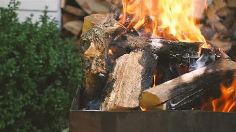 Burning firewood thought. Beautiful flame of fire. Close-up. Slow-motion. Camera Video stock 101469731