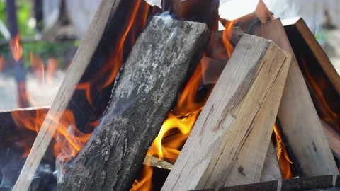 Burning firewood under the barbecue Stock Footage 237022166