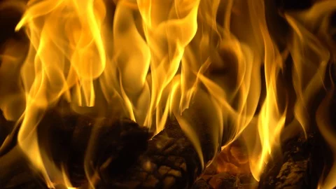 Burning firewoods with orange flame, closeup view Video stock 121352146
