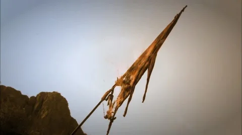 Burning the flag Video stock 66745179