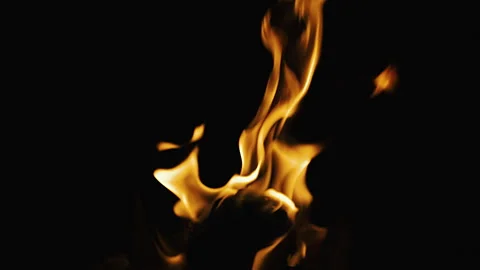 Burning Flame Close-Up on Black Background Stock Footage 346176420